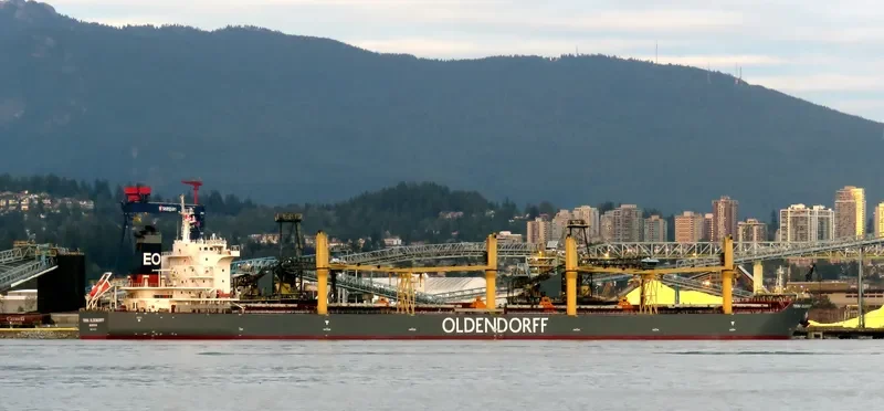 TRINA OLDENDORFF Bulk Carrier IMO 9642370 photo 6