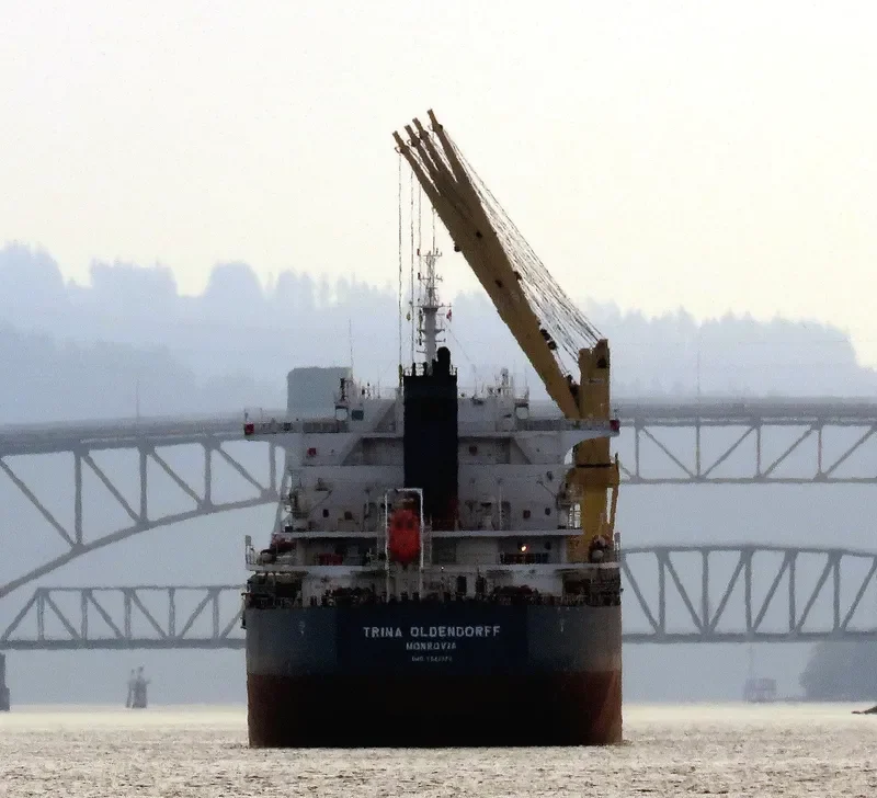 TRINA OLDENDORFF Bulk Carrier IMO 9642370 photo 9