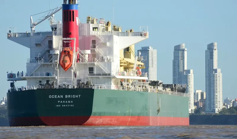 OCEAN BRIGHT Bulk Carrier IMO 9643192
