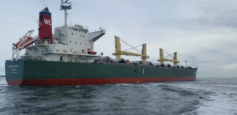 OCEAN BRIGHT Bulk Carrier IMO 9643192 photo 5