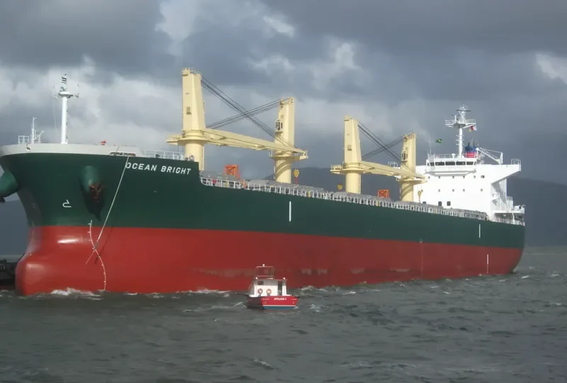 OCEAN BRIGHT Bulk Carrier IMO 9643192 photo 9