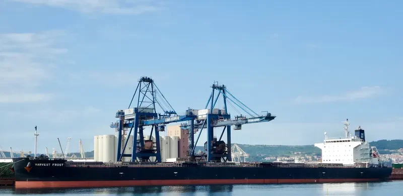 HARVEST FROST Bulk Carrier IMO 9643879 photo 4