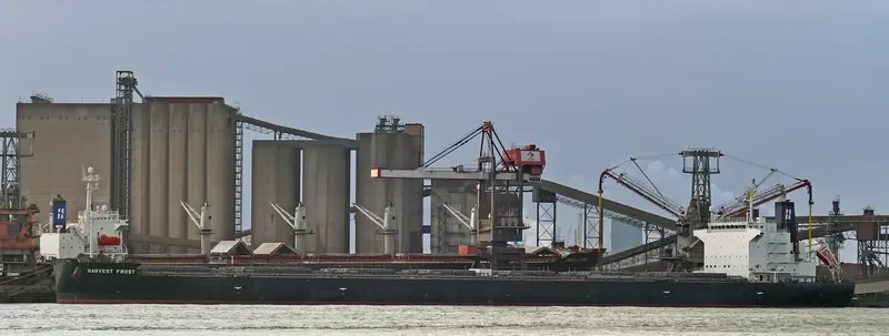 HARVEST FROST Bulk Carrier IMO 9643879 photo 8