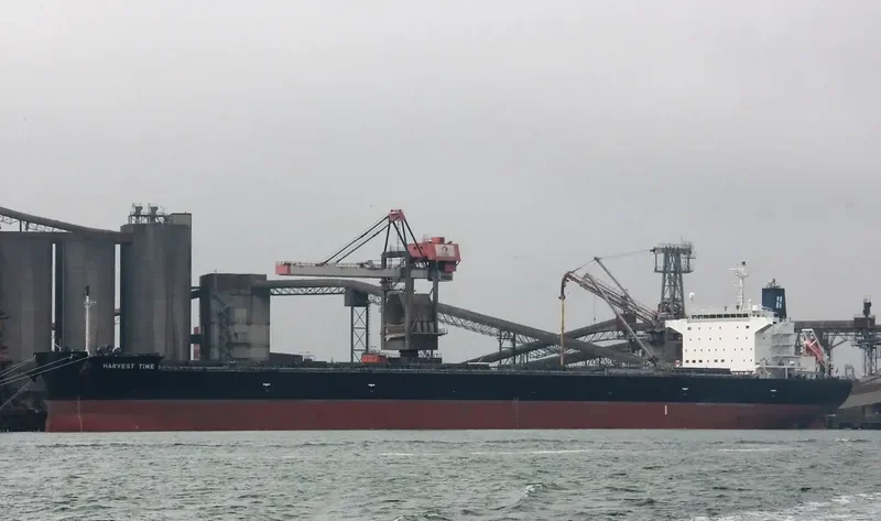 HARVEST TIME Bulk Carrier IMO 9643881