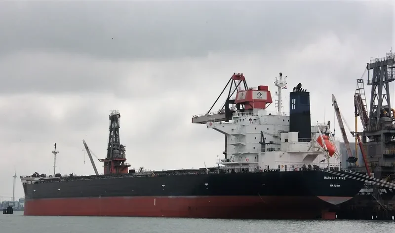 HARVEST TIME Bulk Carrier IMO 9643881 photo 2
