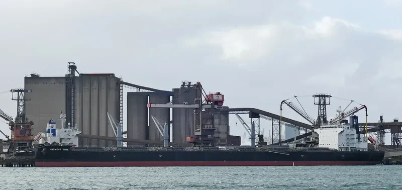 HARVEST TIME Bulk Carrier IMO 9643881 photo 4