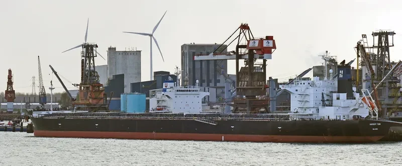 HARVEST TIME Bulk Carrier IMO 9643881 photo 5