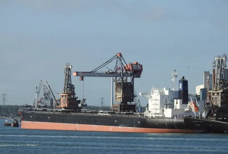 HARVEST TIME Bulk Carrier IMO 9643881 photo 8