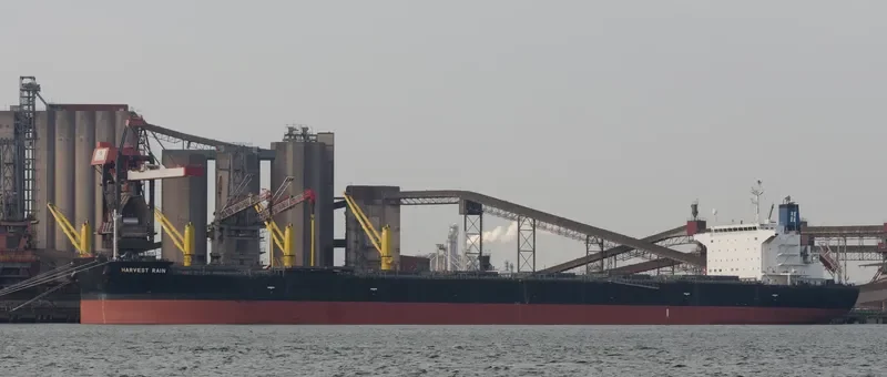 HARVEST RAIN Bulk Carrier IMO 9643893 photo 2