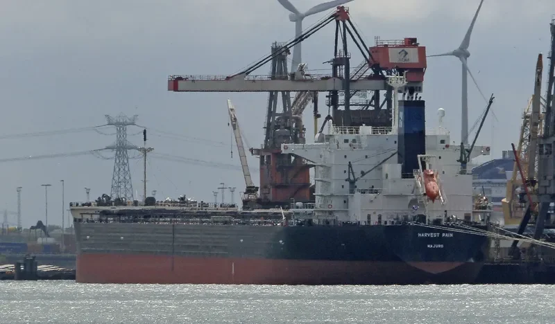 HARVEST RAIN Bulk Carrier IMO 9643893 photo 3