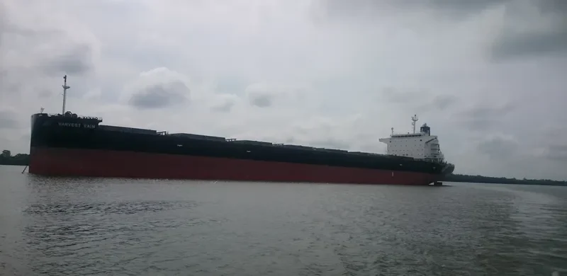 HARVEST RAIN Bulk Carrier IMO 9643893 photo 9