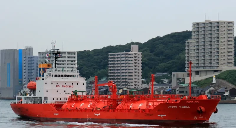LOTUS CORAL General Cargo IMO 9643996 photo 4