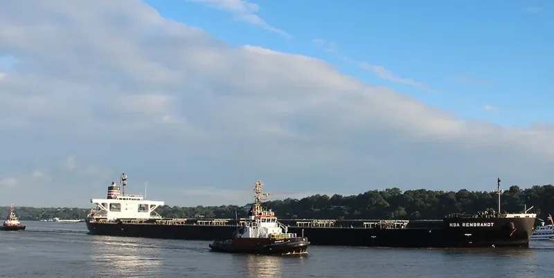 NBA REMBRANDT Bulk Carrier IMO 9644500 photo 6