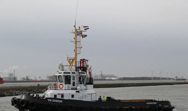 SEA FLOWER General Cargo IMO 9645231 photo 2