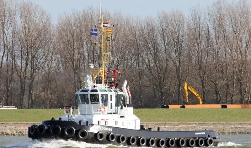 SEA FLOWER General Cargo IMO 9645231 photo 3