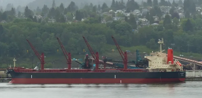 PRT HOPE Bulk Carrier IMO 9645566 photo 7
