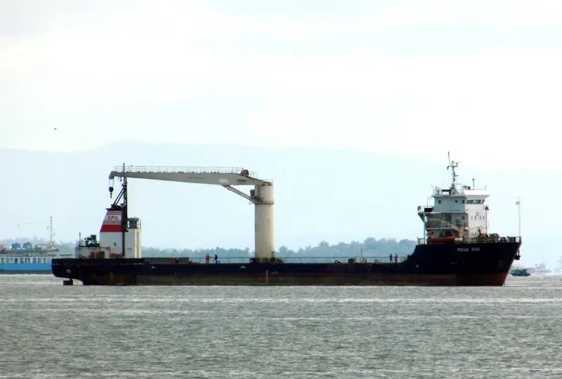 PEKAN RIAU Container Ship IMO 9645750 photo 4