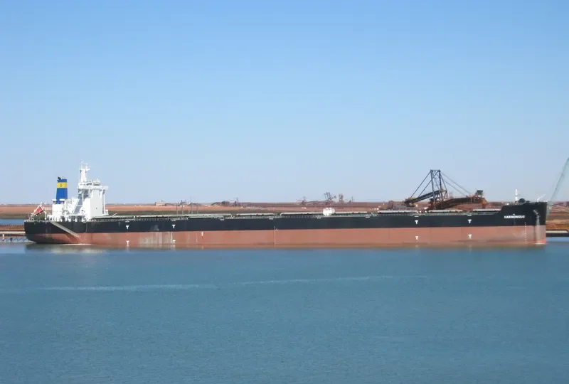HARMONIOUS Bulk Carrier IMO 9646845