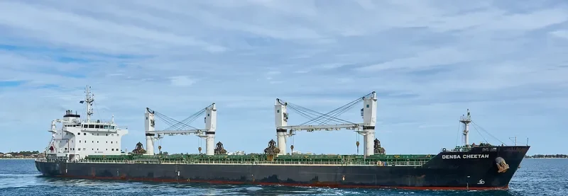 DENSA CHEETAH Bulk Carrier IMO 9649122 photo 3