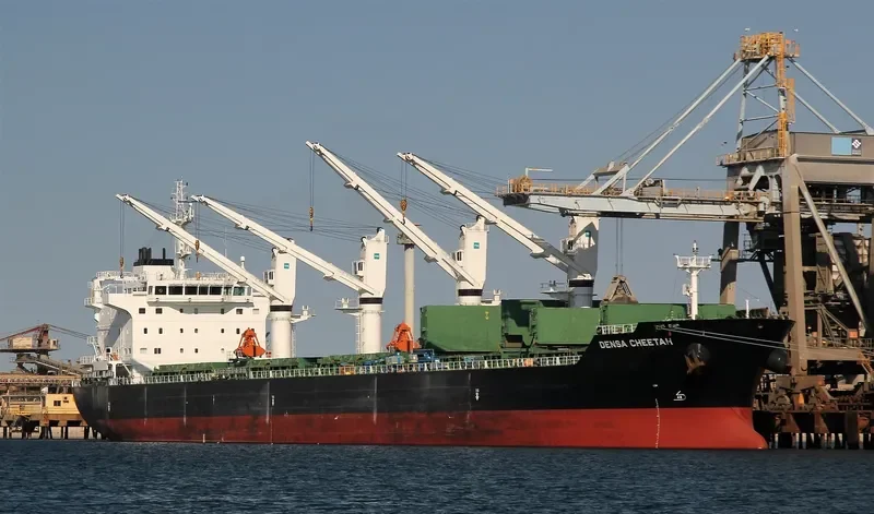 DENSA CHEETAH Bulk Carrier IMO 9649122 photo 5