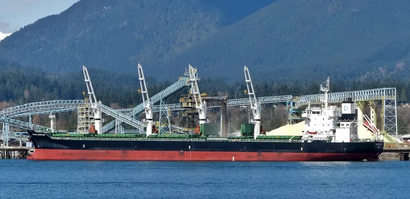 DENSA CHEETAH Bulk Carrier IMO 9649122 photo 9