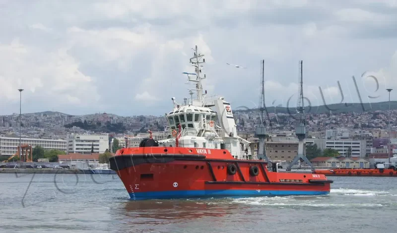 JUBILANT EXCELLENCE Bulk Carrier IMO 9650781
