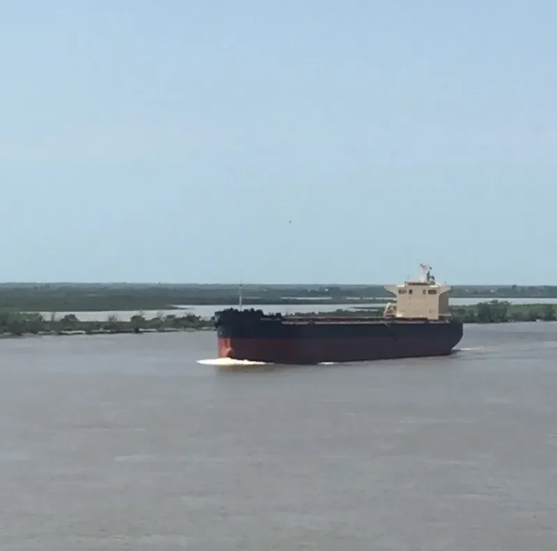 SEAGULL WIND Bulk Carrier IMO 9652507 photo 2