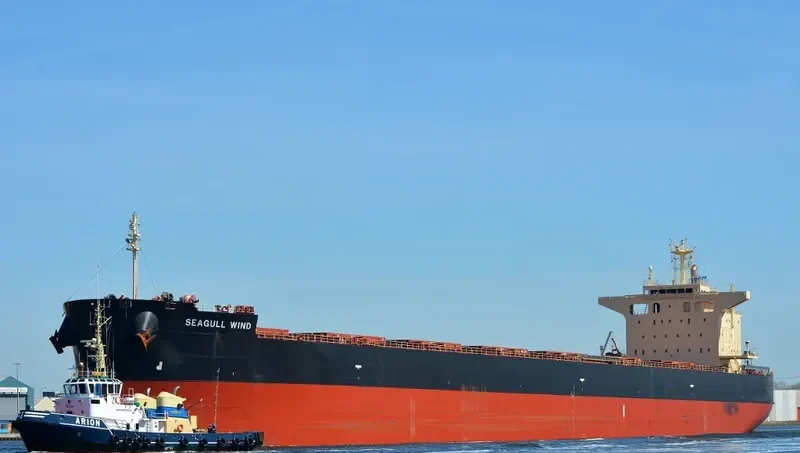 SEAGULL WIND Bulk Carrier IMO 9652507 photo 3