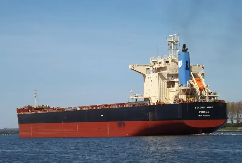 SEAGULL WIND Bulk Carrier IMO 9652507 photo 4