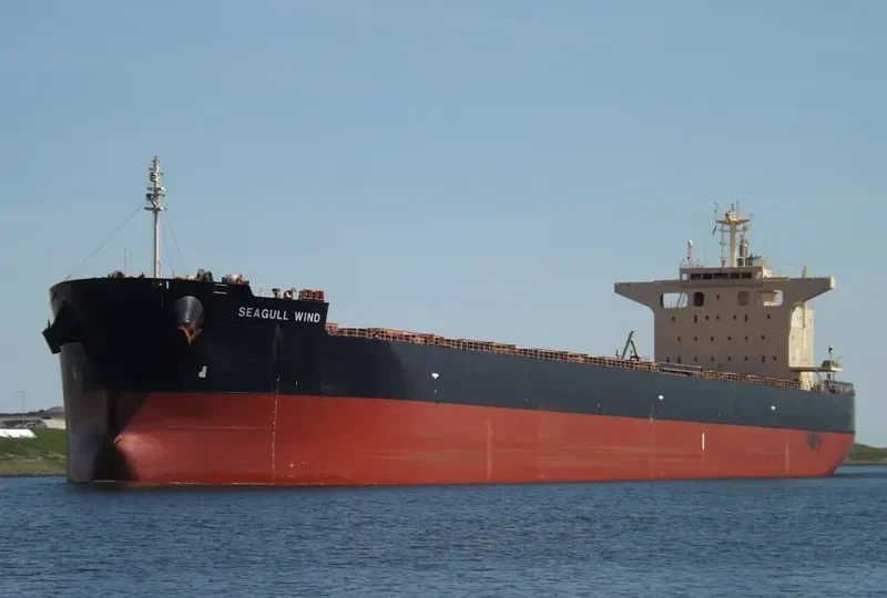 SEAGULL WIND Bulk Carrier IMO 9652507 photo 5