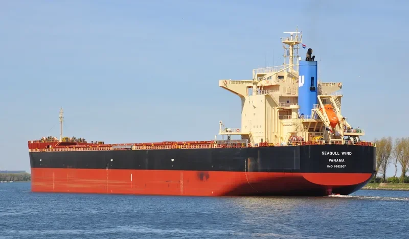 SEAGULL WIND Bulk Carrier IMO 9652507 photo 6