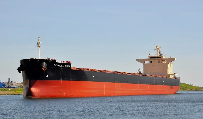 SEAGULL WIND Bulk Carrier IMO 9652507 photo 7