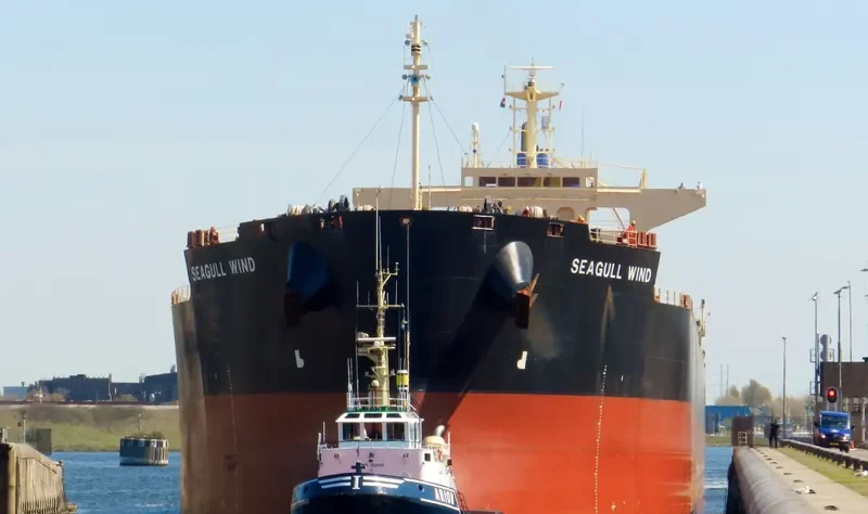 SEAGULL WIND Bulk Carrier IMO 9652507 photo 8