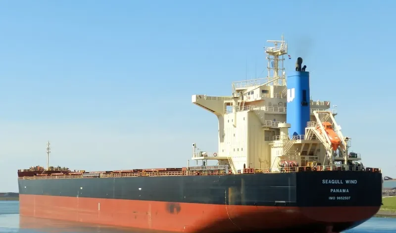 SEAGULL WIND Bulk Carrier IMO 9652507 photo 9
