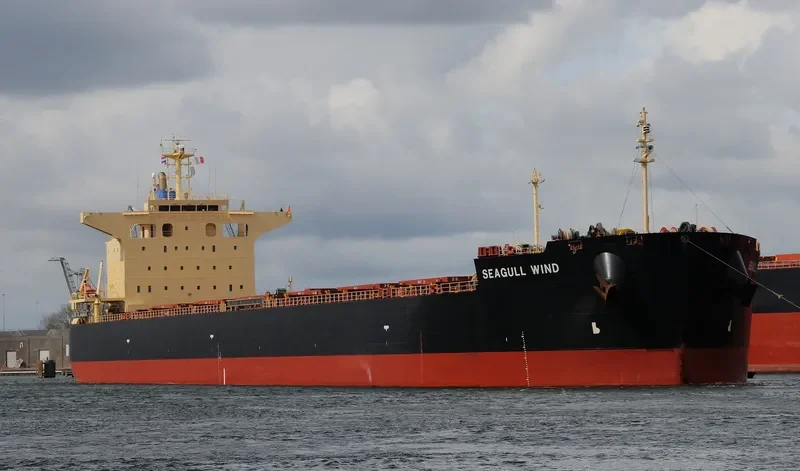 SEAGULL WIND Bulk Carrier IMO 9652507 photo 10