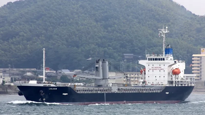 LALUAN General Cargo IMO 9654476 photo 8