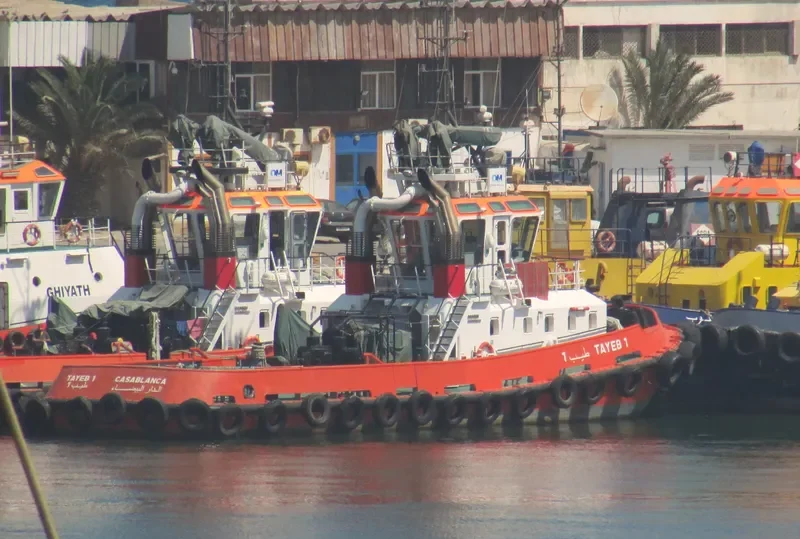 TAYEB 1 General Cargo IMO 9654593