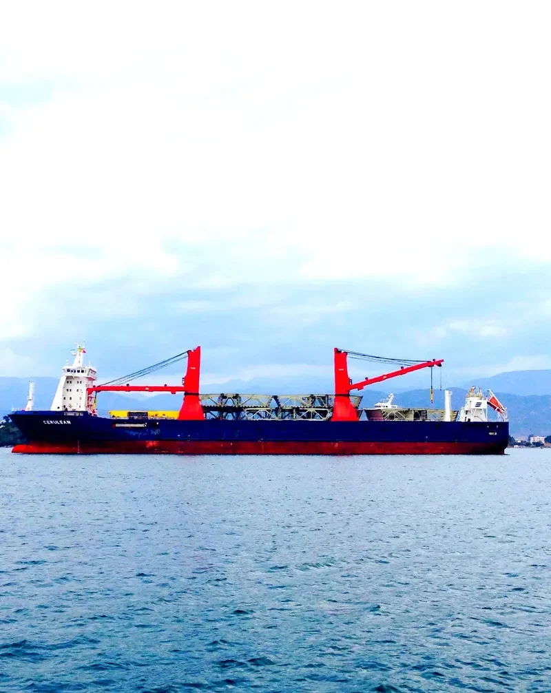 CERULEAN General Cargo IMO 9655169 photo 10