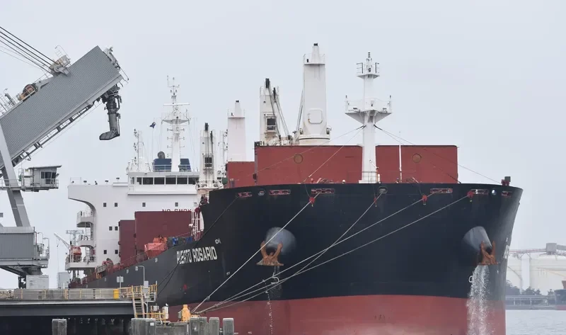 PUERTO ROSARIO Bulk Carrier IMO 9656084 photo 8