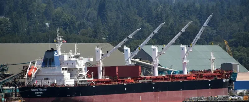 PUERTO ROSARIO Bulk Carrier IMO 9656084 photo 20