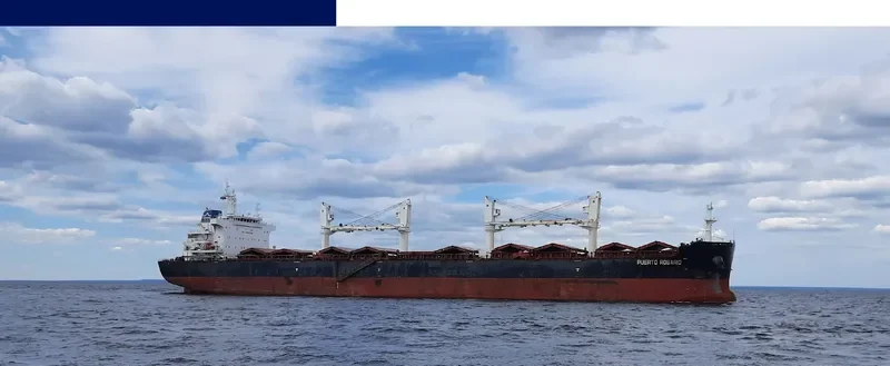 PUERTO ROSARIO Bulk Carrier IMO 9656084 photo 31