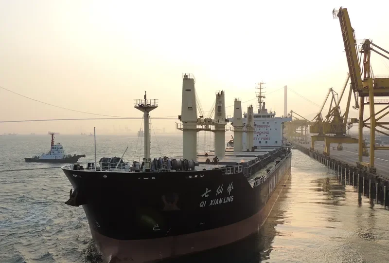QI XIAN LING Bulk Carrier IMO 9656864 photo 8
