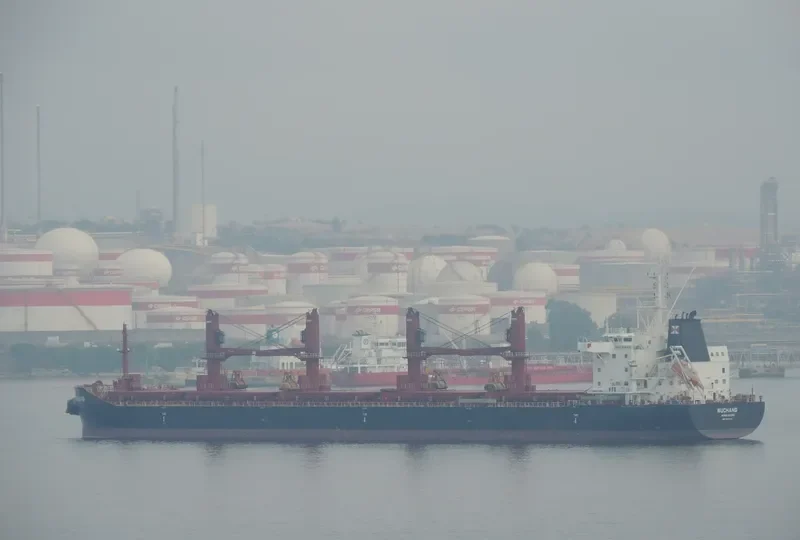 WUCHANG Bulk Carrier IMO 9657844