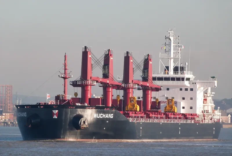WUCHANG Bulk Carrier IMO 9657844 photo 3