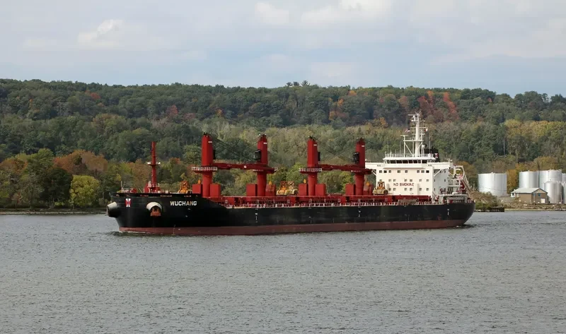 WUCHANG Bulk Carrier IMO 9657844 photo 5