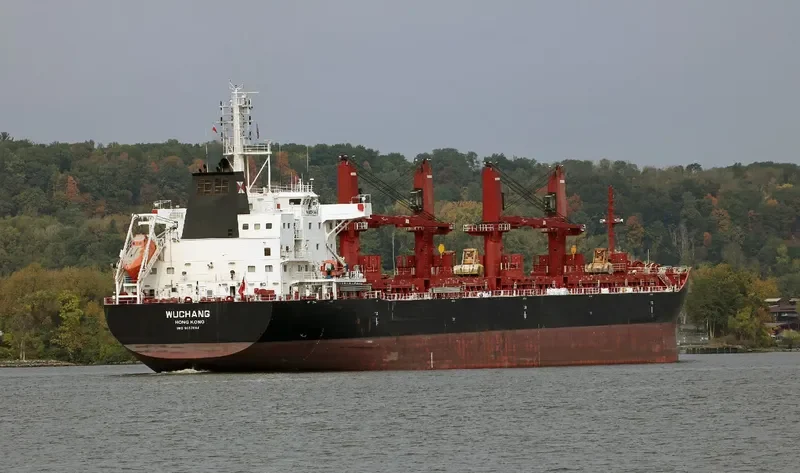 WUCHANG Bulk Carrier IMO 9657844 photo 6