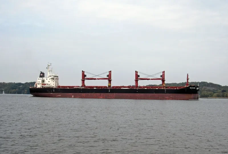 WUCHANG Bulk Carrier IMO 9657844 photo 7
