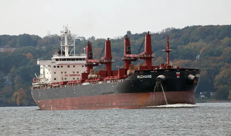 WUCHANG Bulk Carrier IMO 9657844 photo 8