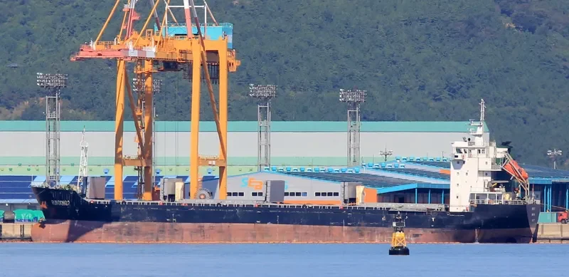 RUN DONG 2 General Cargo IMO 9658173 photo 4