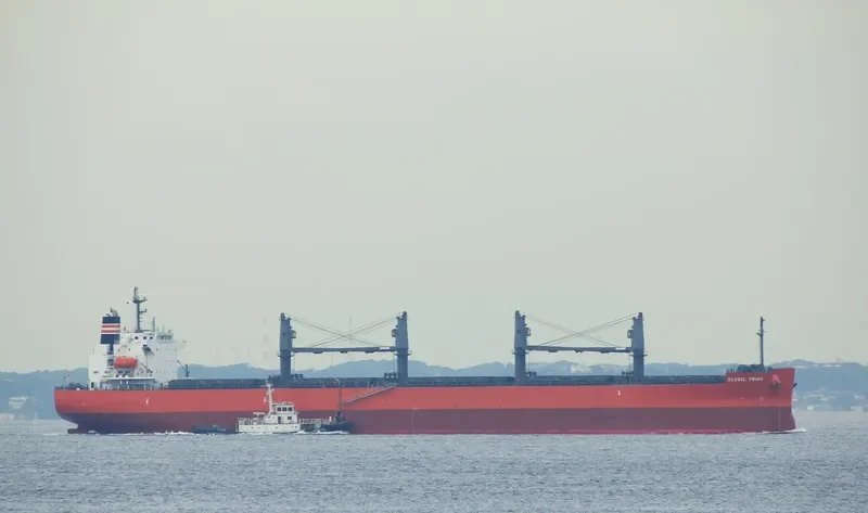 GLOBAL PRIME Bulk Carrier IMO 9658941 photo 11